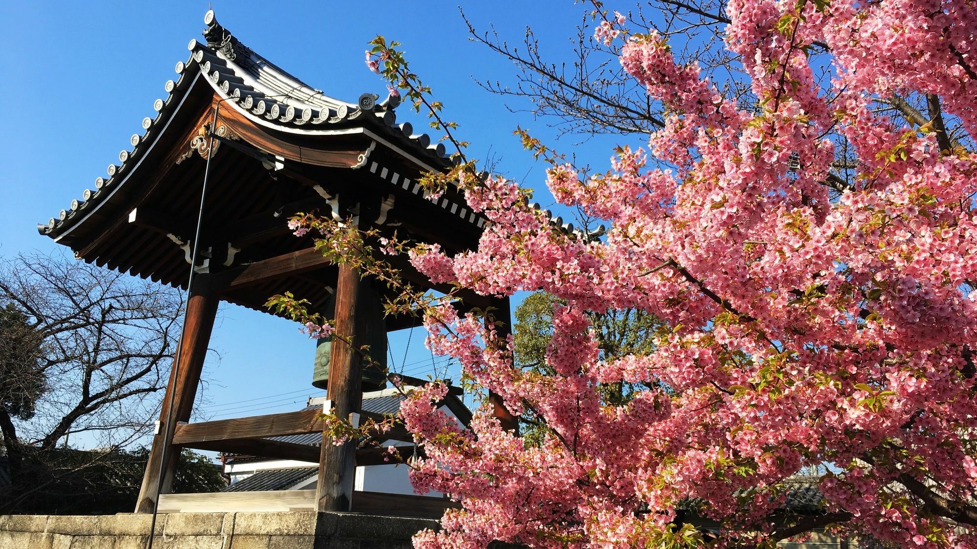 Stay Sakura Kyoto Toji West I Exteriér fotografie