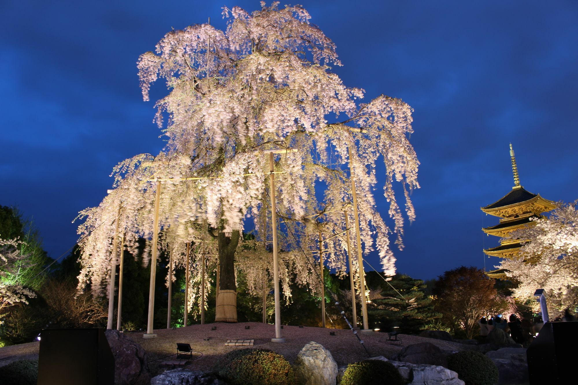 Stay Sakura Kyoto Toji West I Exteriér fotografie