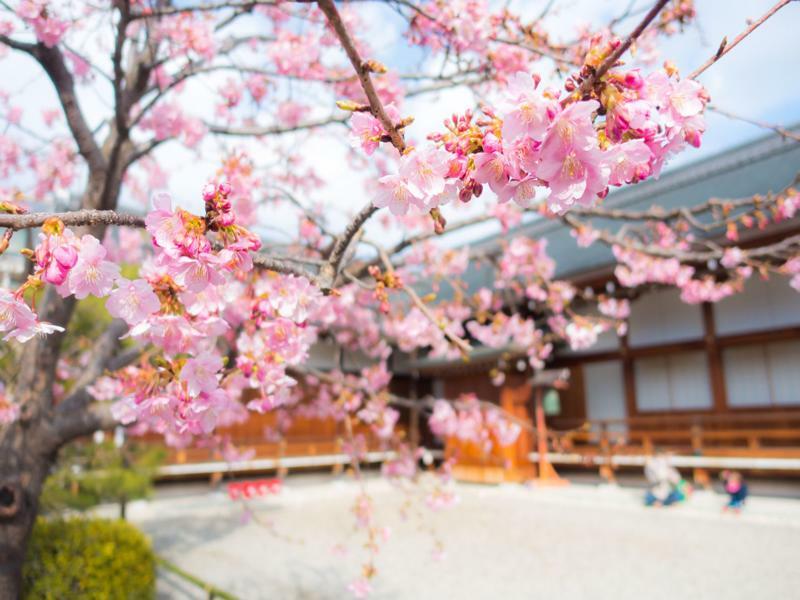 Stay Sakura Kyoto Toji West I Exteriér fotografie