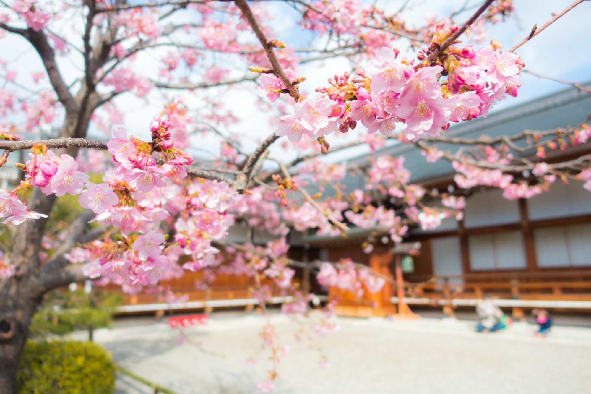 Stay Sakura Kyoto Toji West I Exteriér fotografie